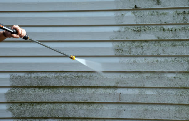 Animal Enclosure Cleaning in Hoisington, KS